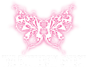 O efeito borboleta